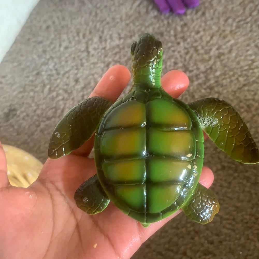 It’s a turtle